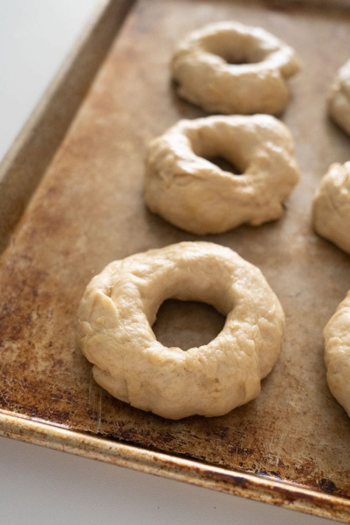 dough formed into bagel shapes on cookie sheet
