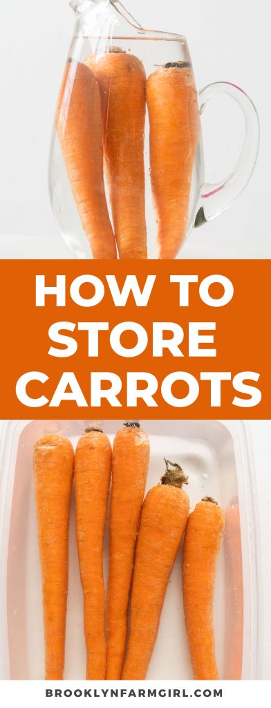 How To Store Carrots For Months Brooklyn Farm Girl