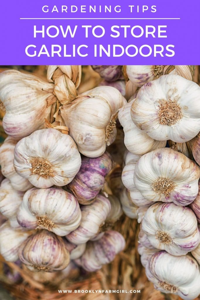 How to Freeze Garlic + Storage Tips