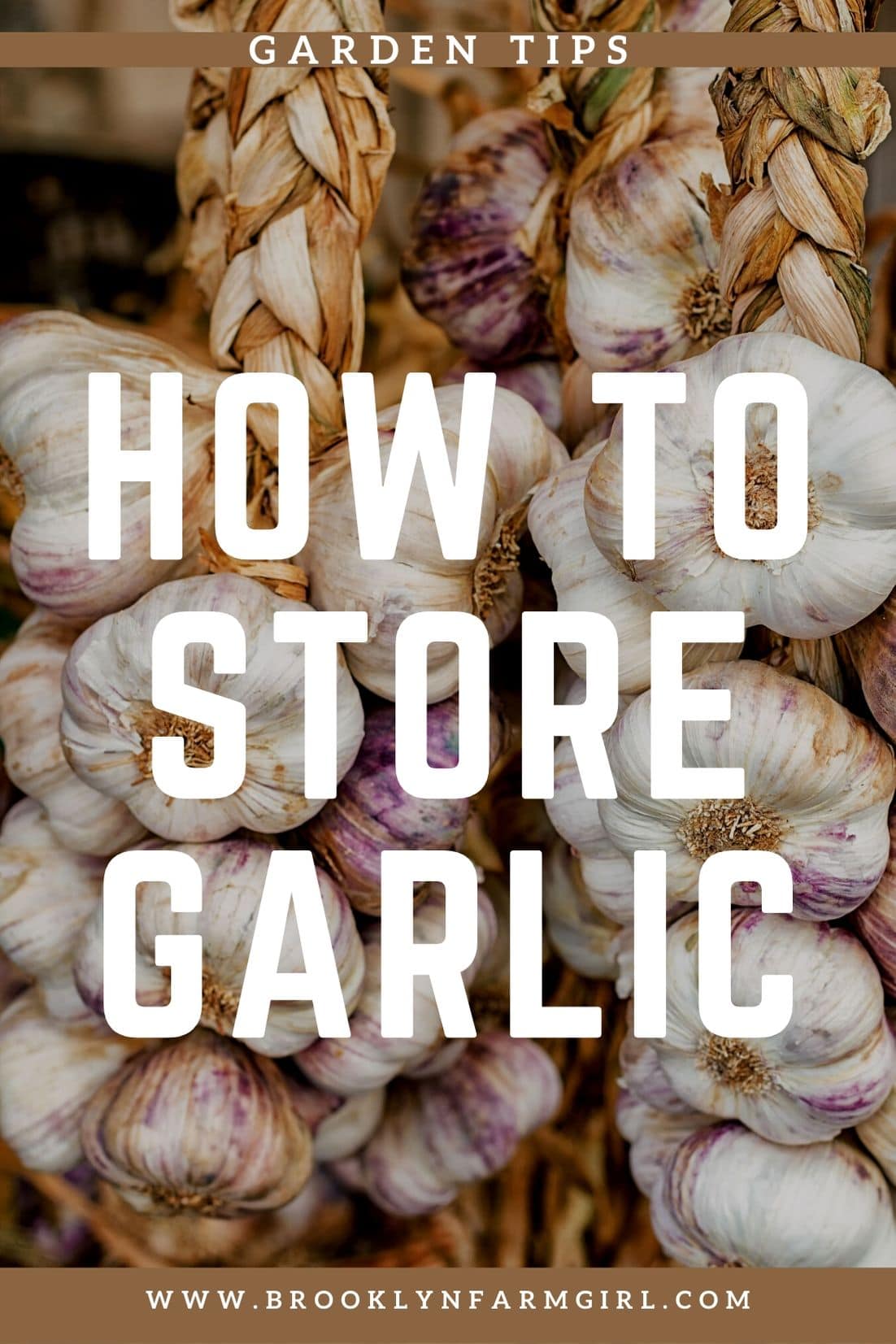 How to Store Garlic For a Long Time Brooklyn Farm Girl