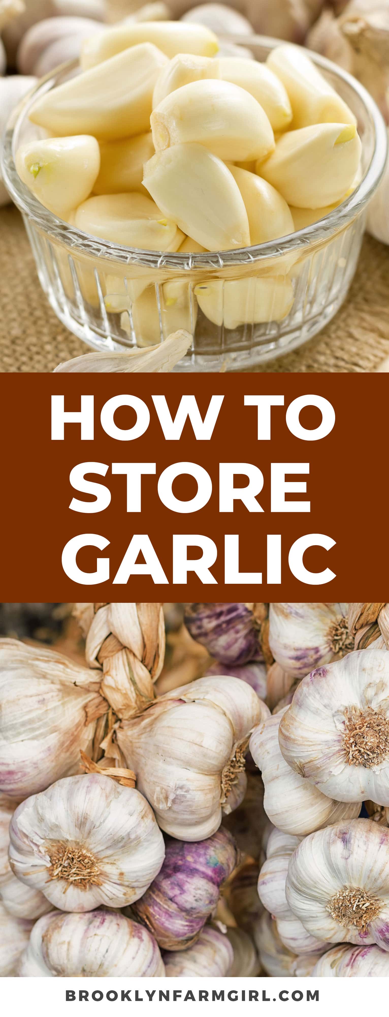 How to Store Garlic For a Long Time Brooklyn Farm Girl