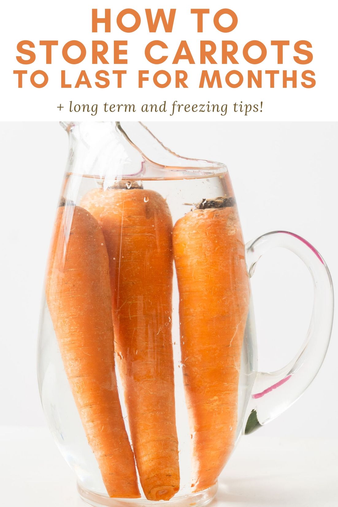 How to Store Carrots For Months Brooklyn Farm Girl
