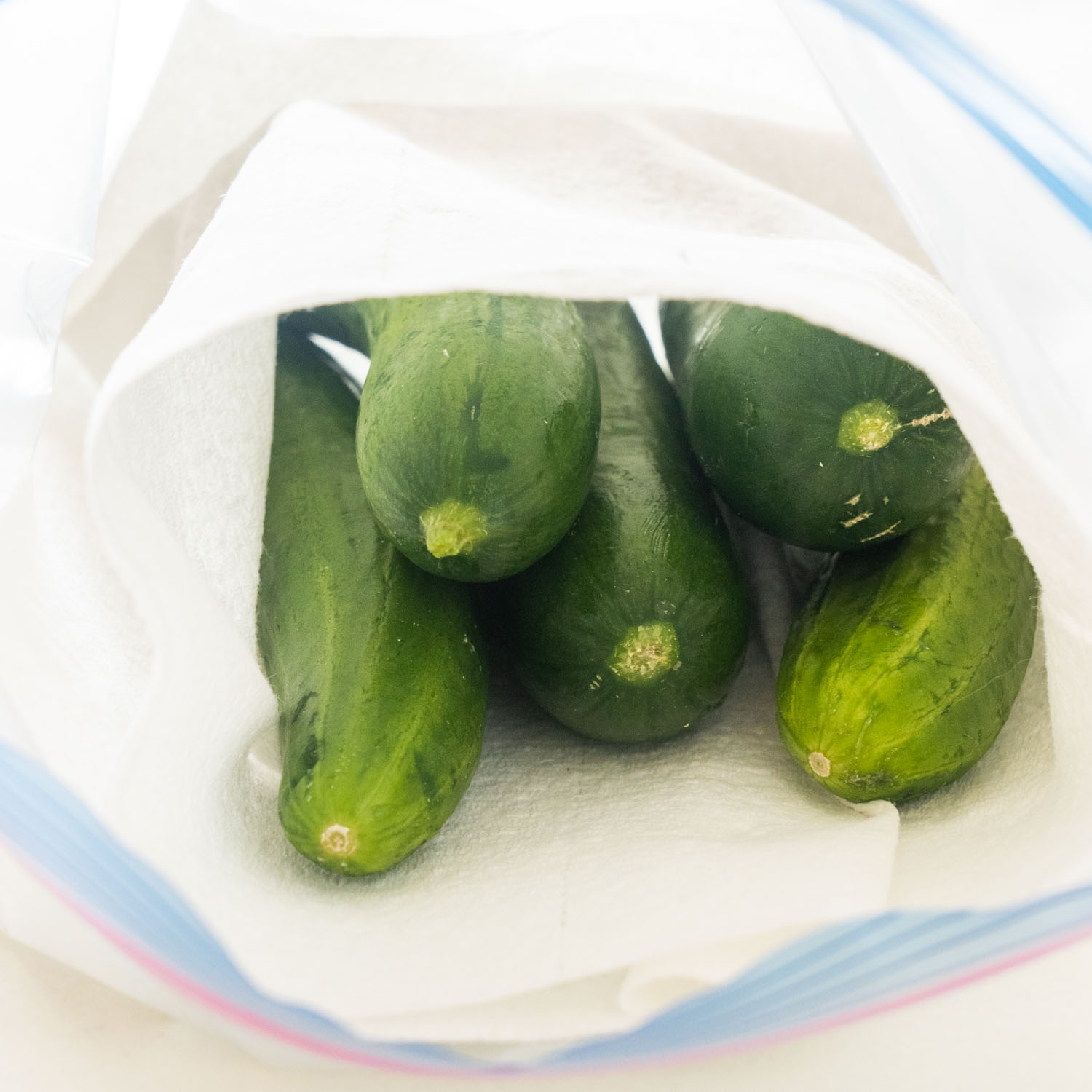 How to Store Cucumbers to Last for Weeks - Brooklyn Farm Girl