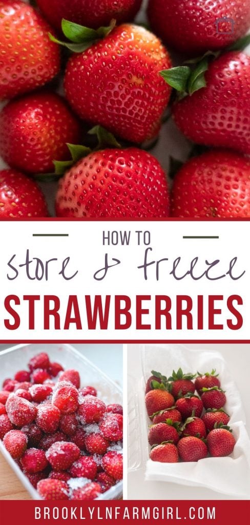 https://brooklynfarmgirl.com/wp-content/uploads/2020/07/How-to-Store-and-Freeze-Strawberries-2-488x1024.jpg