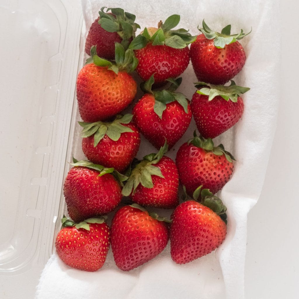 fresh strawberries in container