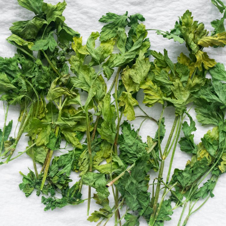 How to Dry Parsley In The Microwave Brooklyn Farm Girl