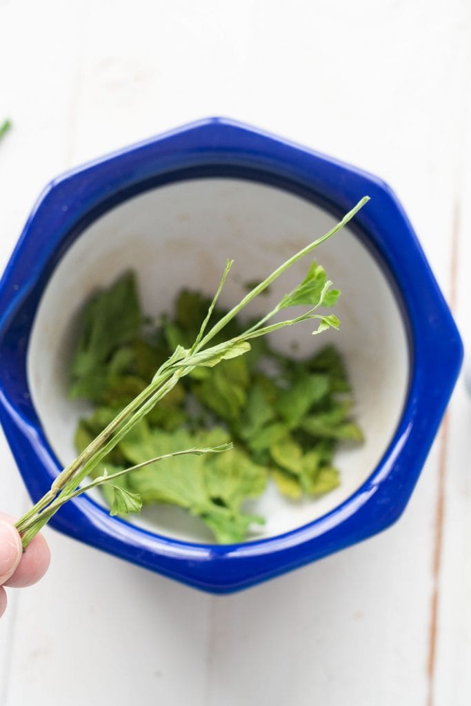 parsley stem over blue bowl