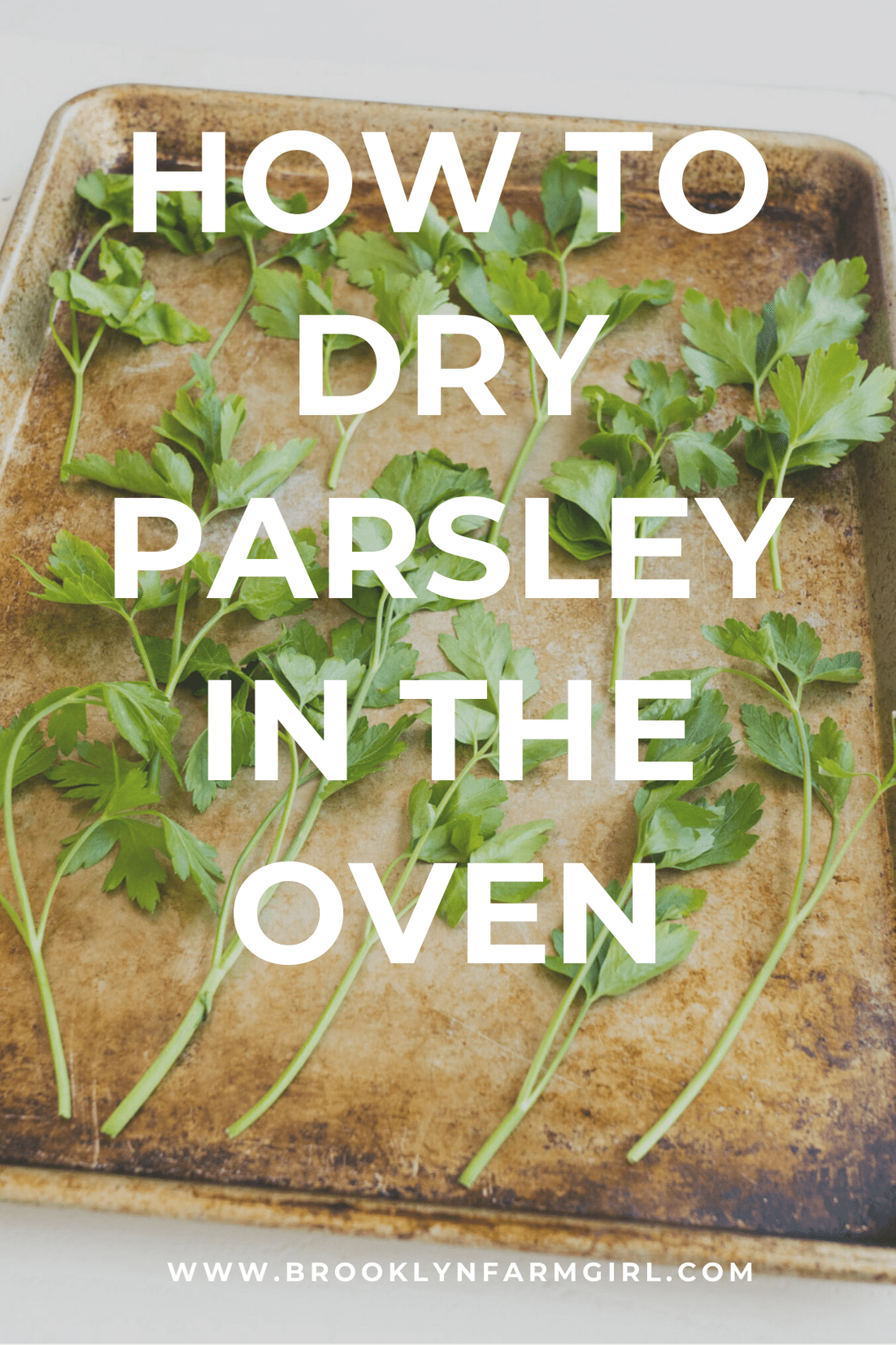 How to Dry Parsley in the Oven Brooklyn Farm Girl