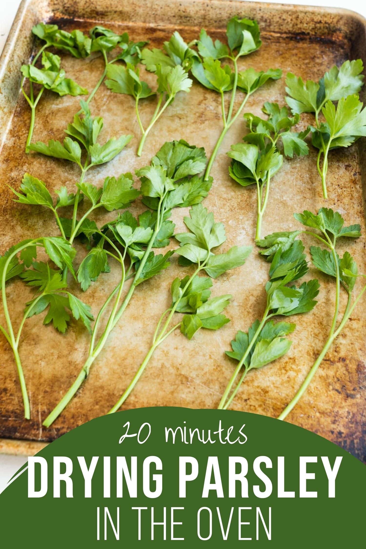 How to Dry Parsley in the Oven Brooklyn Farm Girl