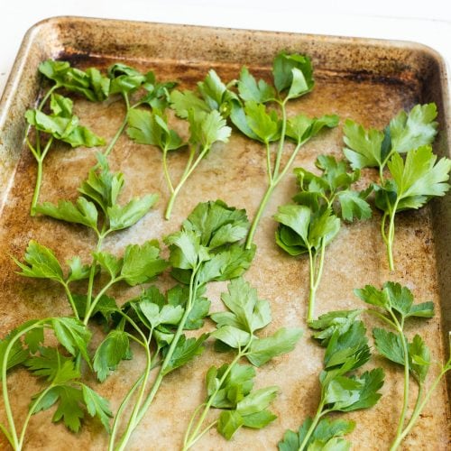 How To Dry Parsley In The Oven Brooklyn Farm Girl