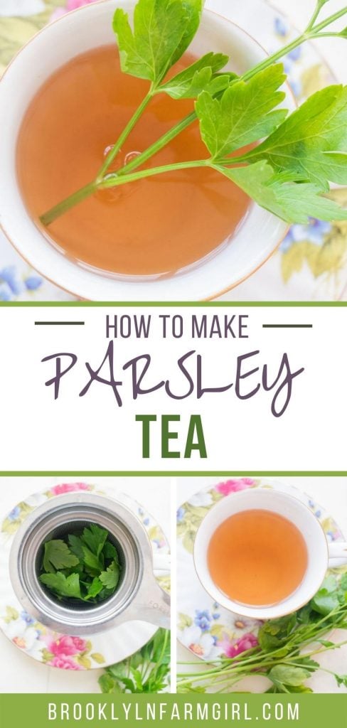 Easy directions on how to make parsley tea using fresh and dried parsley. Have a healthy cup of tea within minutes! Low cost and filled with health benefits! 