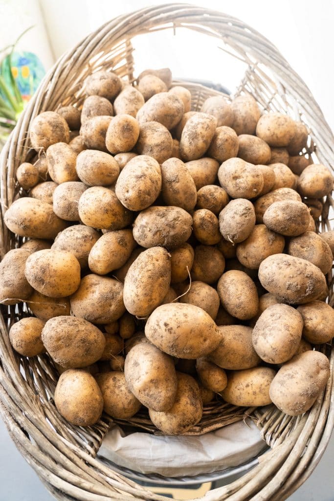 large basket filled with potatoes
