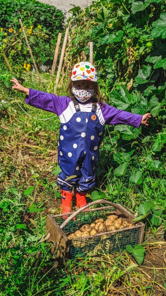 little girl wearing mini rodini digging up potatoes in the garden