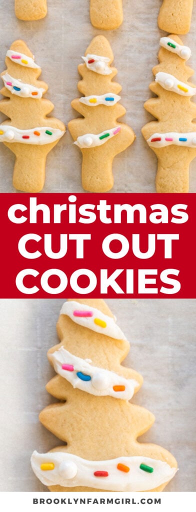 Easy to make soft Christmas cookies that are perfect for sugar cookie cut outs. They are so chewy! You can add colored sugar or icing on top.

