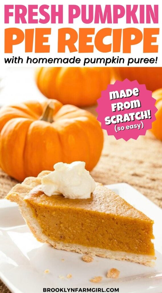 If you’ve only ever made pumpkin pie with canned puree, consider this your sign to try it with fresh, real pumpkin — it’s like autumn in every bite! My filling recipe combines fresh pumpkin (bonus points if the pumpkin is homegrown!) with cozy fall spices and sweetened condensed milk. Ready in less than 1 hour, this is an easy pumpkin pie that's perfect for your holiday table!