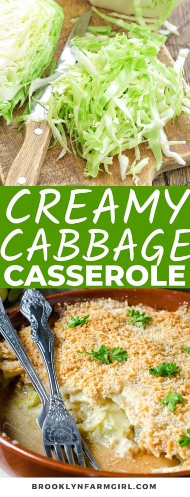 Easy to make creamy cabbage casserole recipe. This creamed cabbage is made with an entire head of cabbage for a delicious side dish or simple dinner. 