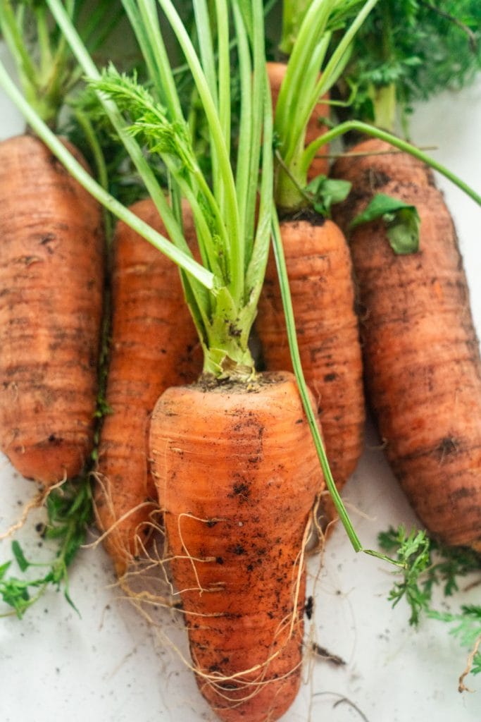 orange carrots on white table