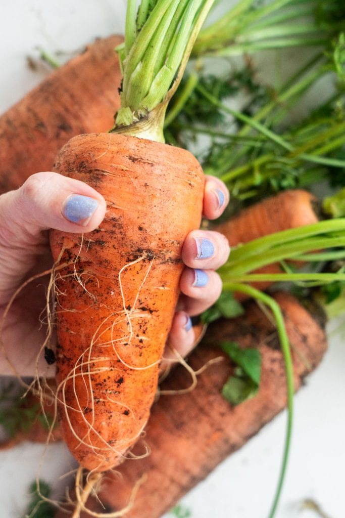 blue finger nails on hand holding big carrot