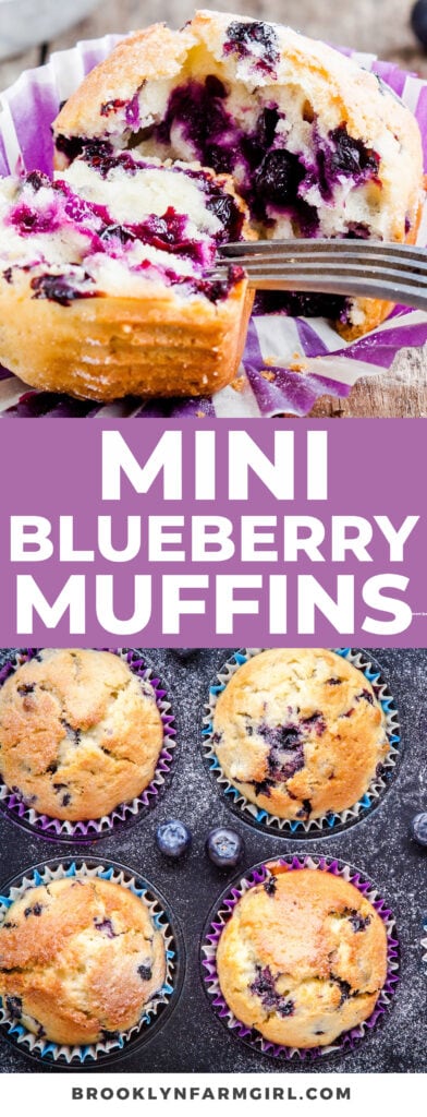 Moist Mini Blueberry Muffins with cinnamon sugar streusel. This recipe is easy to make in 20 minutes total, made with 1 cup of fresh blueberries!  My family loves these fluffy muffins for breakfast, snack and dessert!