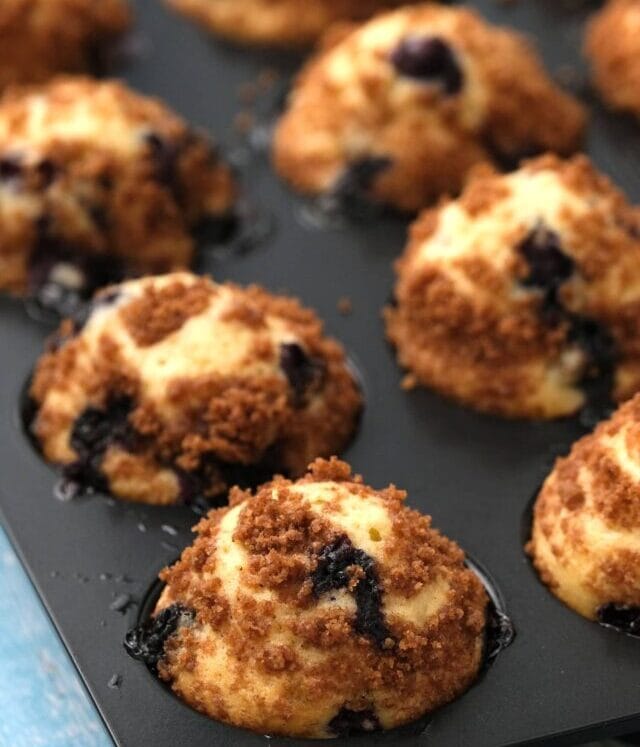 cropped-Mini-Blueberry-Muffins-Web-Story-Cover.jpg