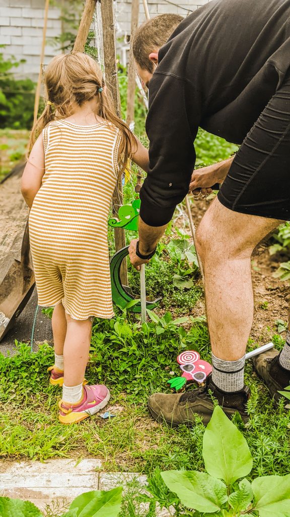 little girl and dad pushing in pea sign into ground.