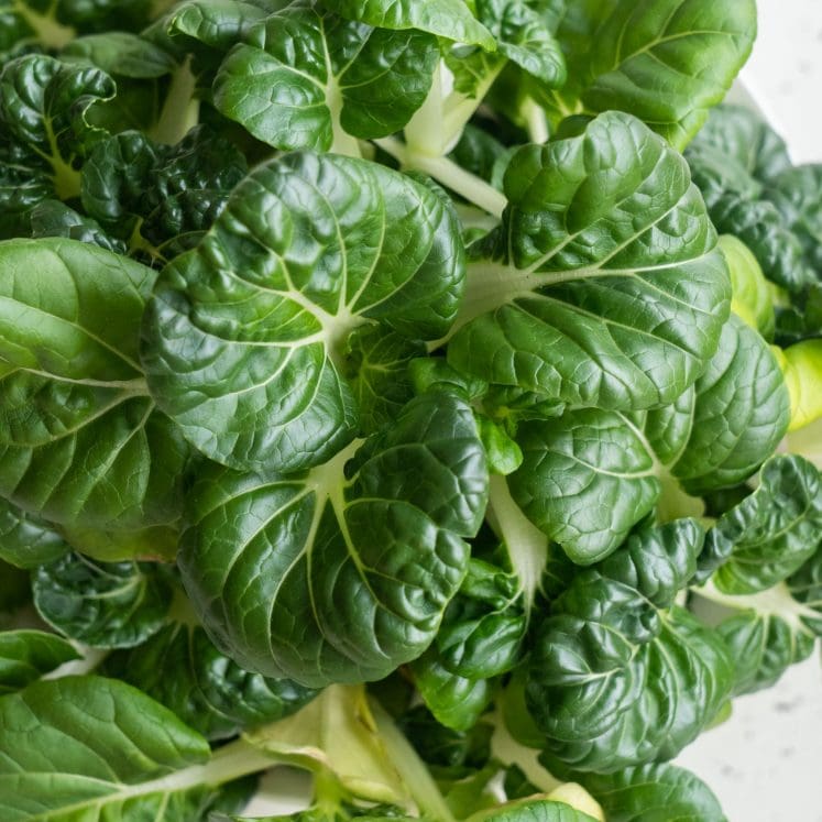 How to Store Bok Choy Brooklyn Farm Girl