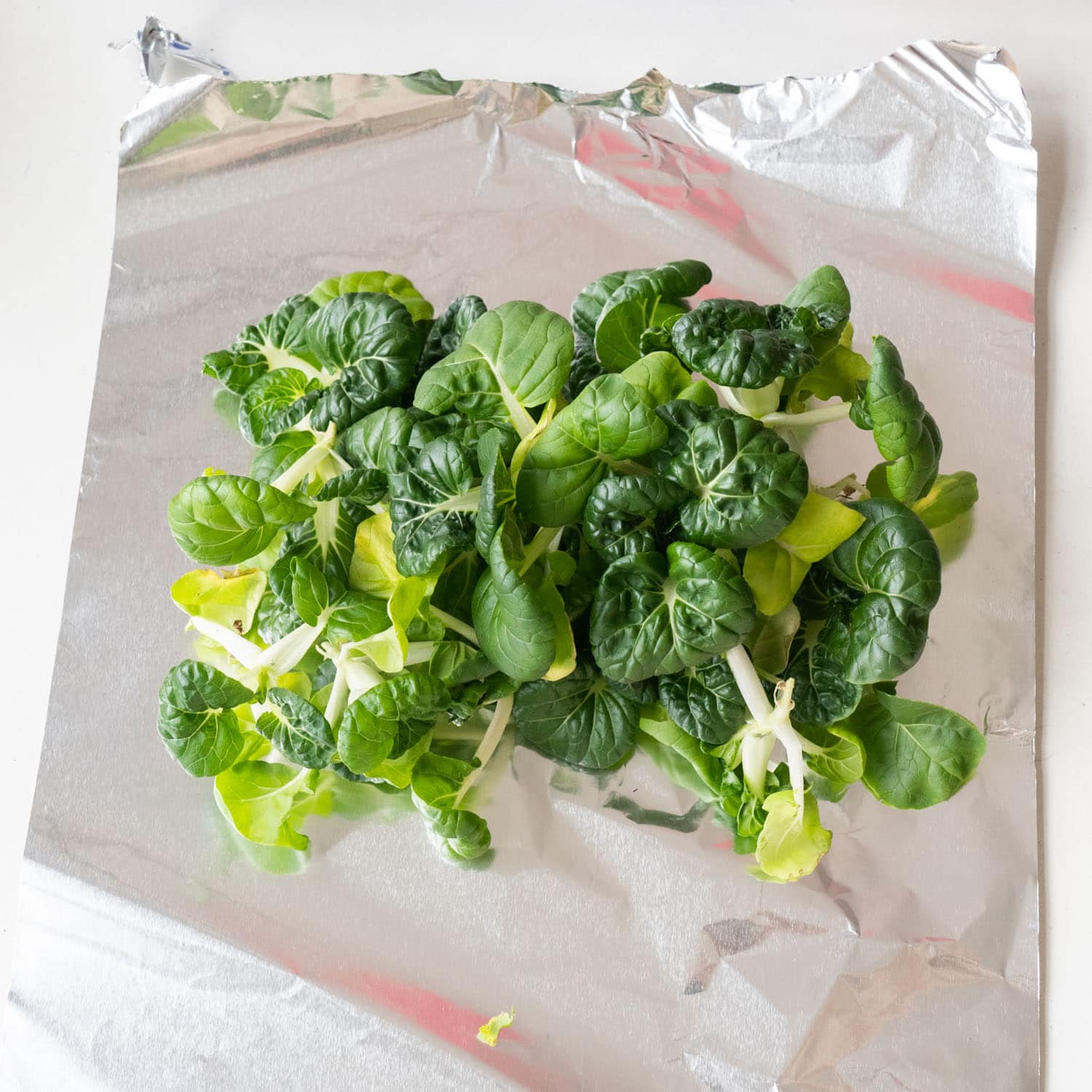 How to Store Bok Choy