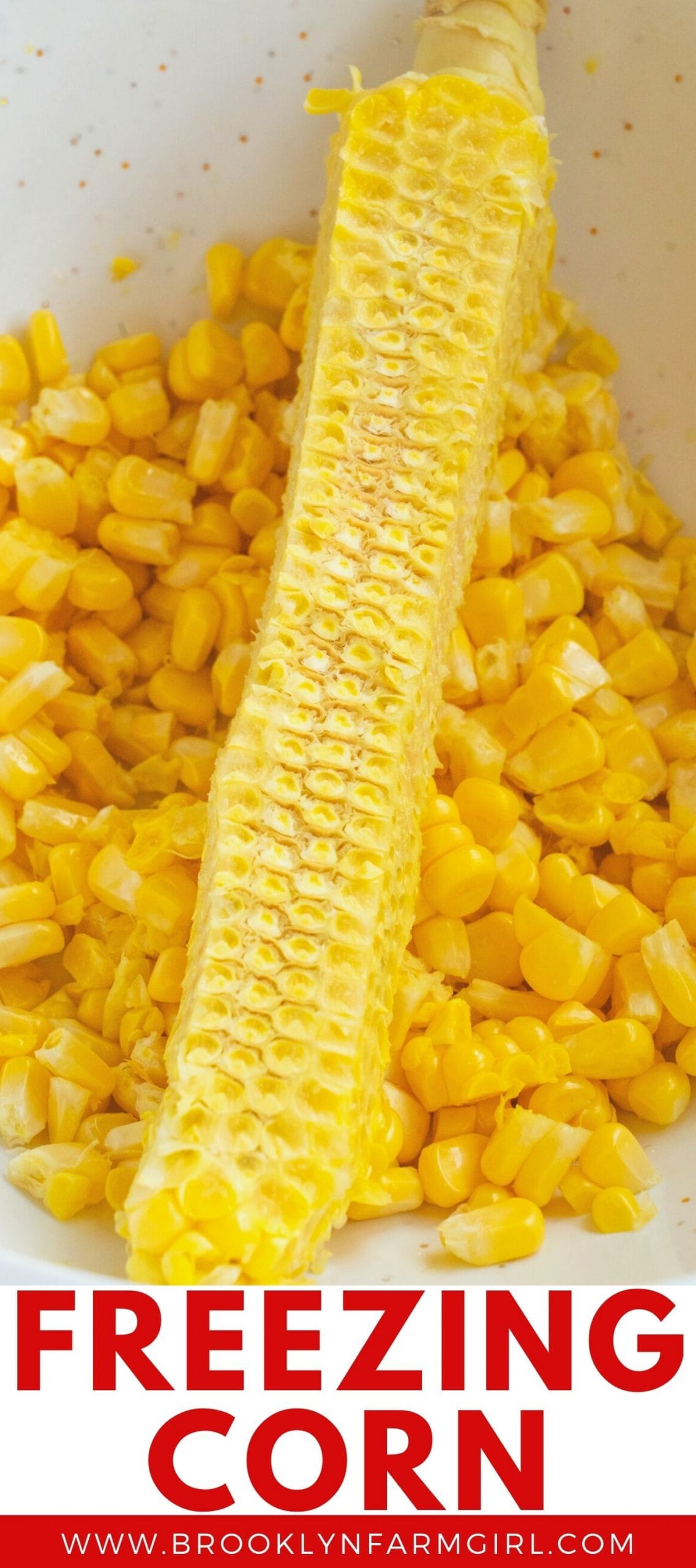 How To Freeze Fresh Corn Without Blanching Brooklyn Farm Girl