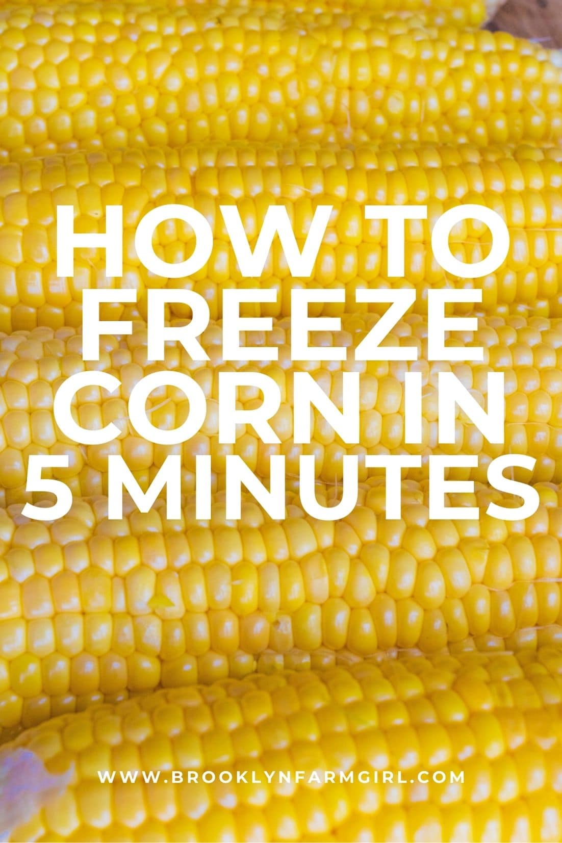 How To Freeze Fresh Corn Without Blanching Brooklyn Farm Girl