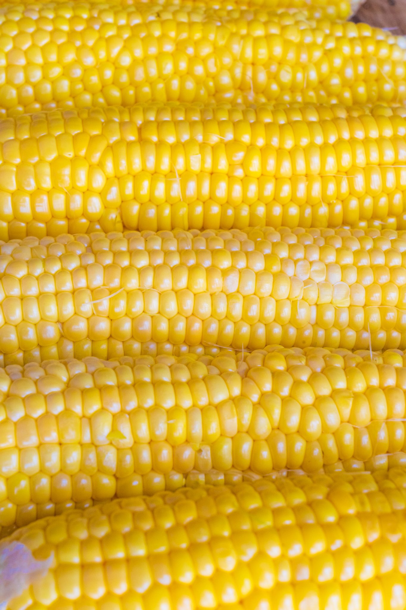 How To Freeze Fresh Corn Without Blanching Brooklyn Farm Girl