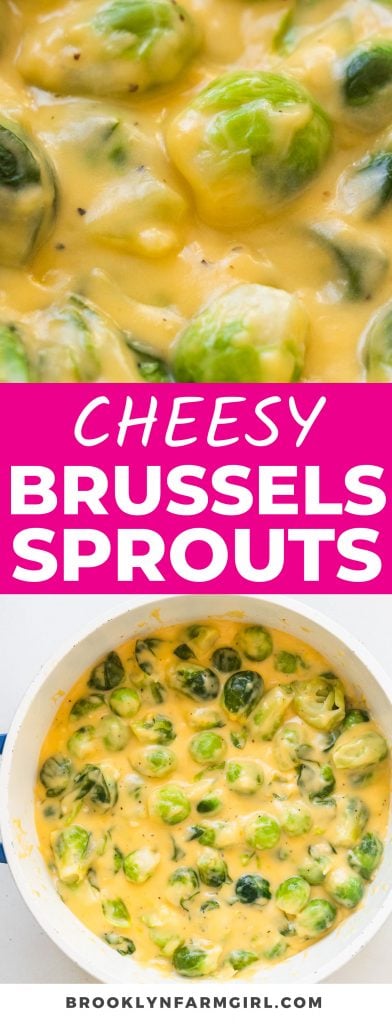 Easy to make Cheesy Brussels Sprouts that only take 20 minutes on the stove top.  Want to turn someone into a brussels sprouts lover? Simple, make these! 