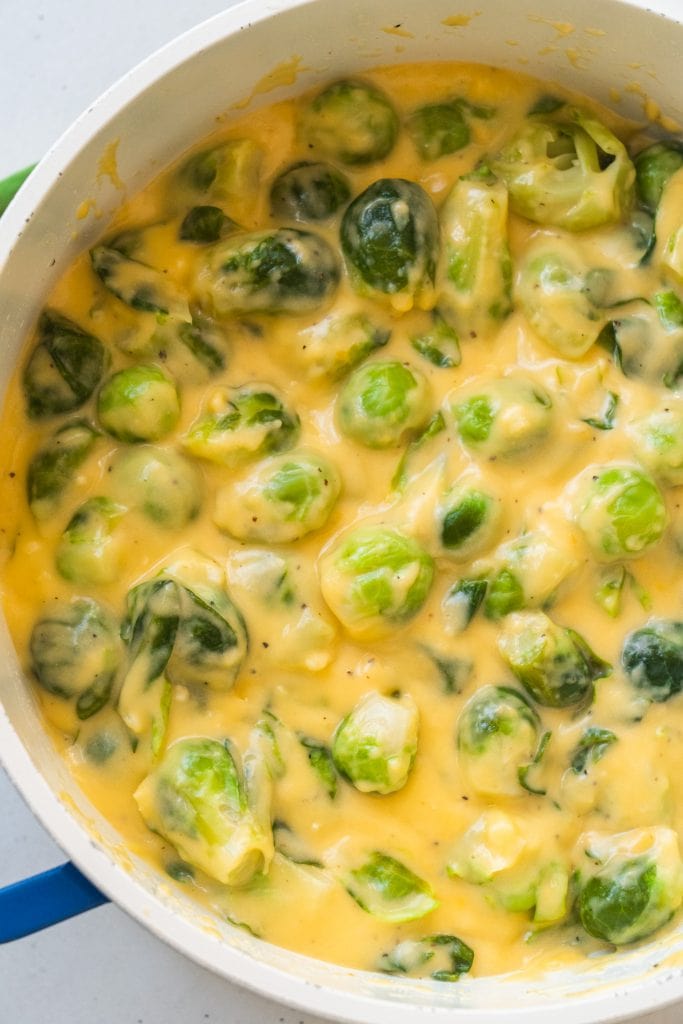 brussels sprouts in cheese in blue saucepan on white table.