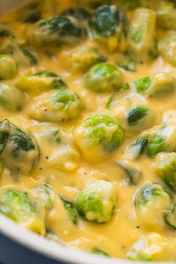 closeup of brussels sprouts in cheese sauce in saucepan