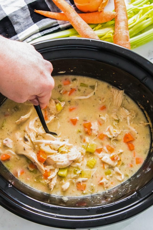 Slow Cooker Chicken and Dumplings - Brooklyn Farm Girl