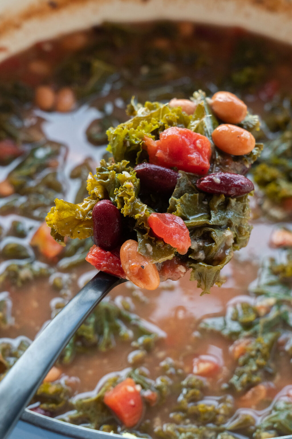 Kale, White Bean and Diced Tomato Soup - Brooklyn Farm Girl