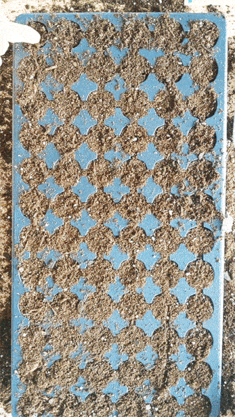 hand poking holes in potting mix for seeds.