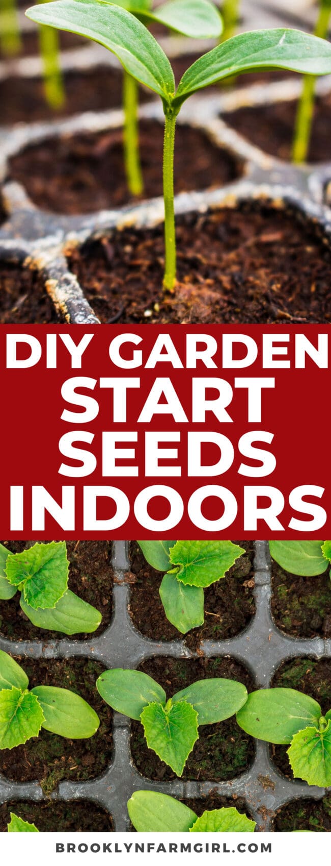 How to Start Seeds Indoors Brooklyn Farm Girl