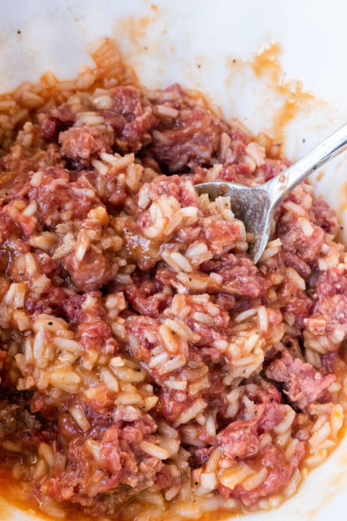 ground beef and rice mixture in bowl.