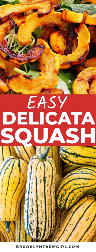 Easy roasted delicata squash straight from the garden. All you need is squash, olive oil, salt and pepper.