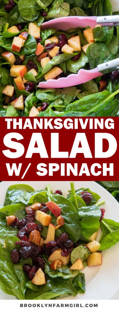 Thanksgiving Salad made with spinach, cranberries, crisp apples, and cinnamon, ready in 10 minutes.  Super easy side dish to serve during the holidays!