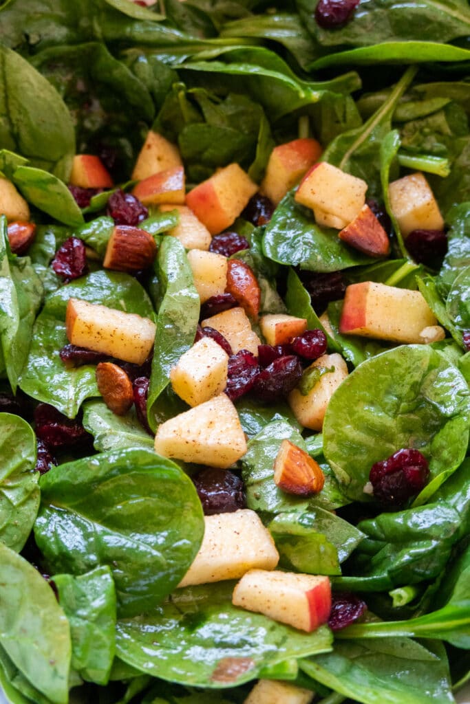 closeup of spinach salad with apples and cranberries.