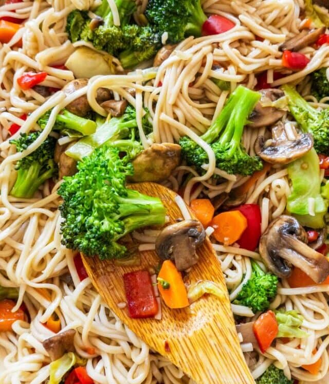 cropped-Easy-Vegetable-Lo-Mein_6.jpg