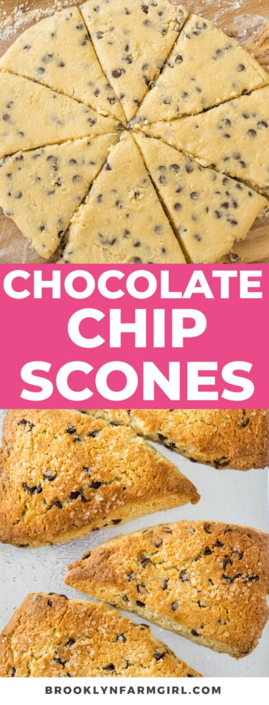 Fluffy and moist Chocolate Chip Scones that are so easy to make! Perfect for breakfast or a tea party. Serve with homemade clotted cream for a real treat! 