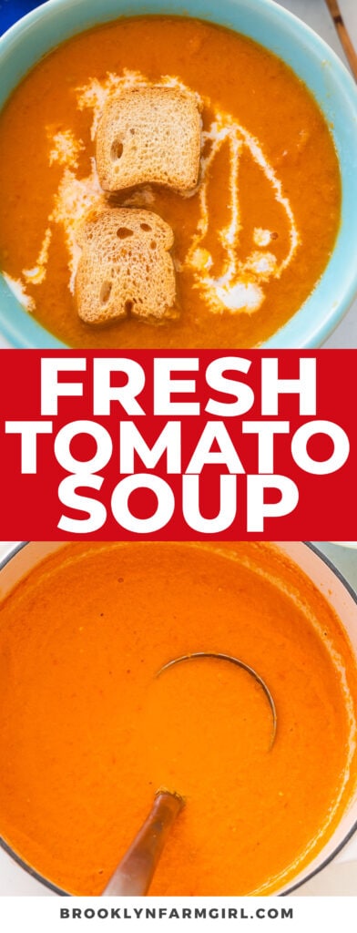 https://brooklynfarmgirl.com/wp-content/uploads/2022/07/Fresh-Tomato-Soup-3-4-392x1024.jpg
