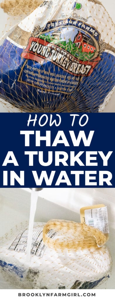 Step-by-step instructions on how to thaw a turkey quickly in the sink using water.  You need 30 minutes per pound of turkey to thaw it.