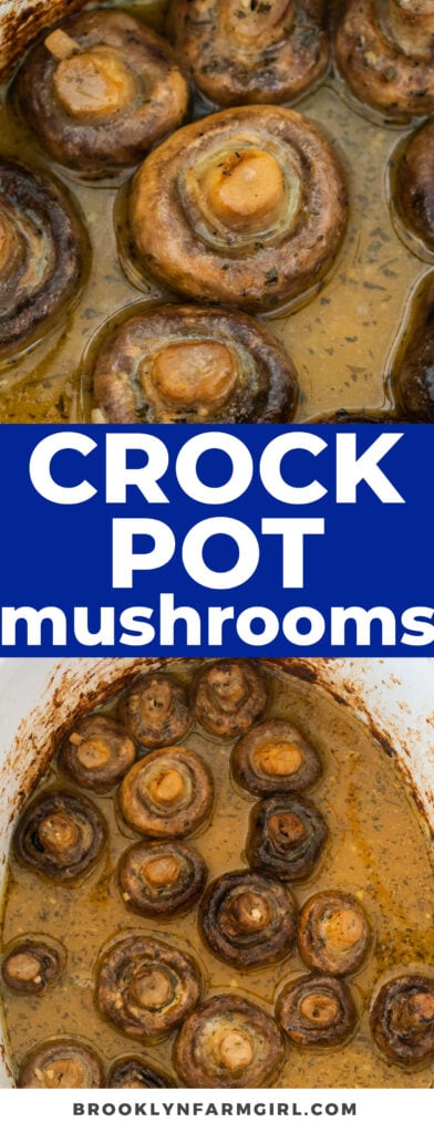 Easy juicy mushrooms made in the crockpot in 4 hours. All you need is butter, garlic and salad dressing mix!