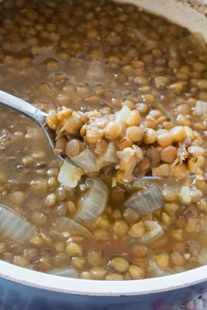 spoon filled with lentils and onions.