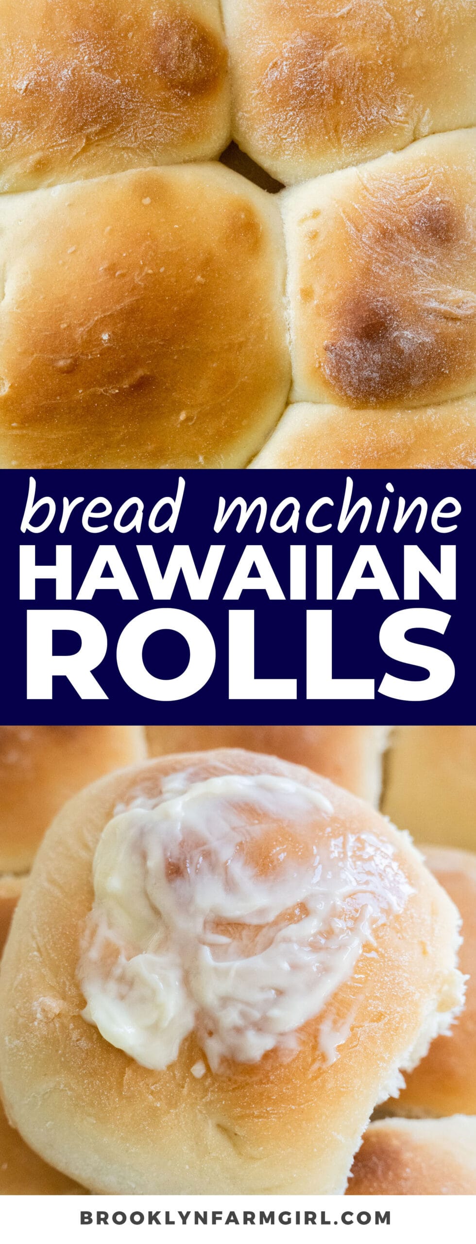 Bread Machine Sweet Hawaiian Rolls - Brooklyn Farm Girl