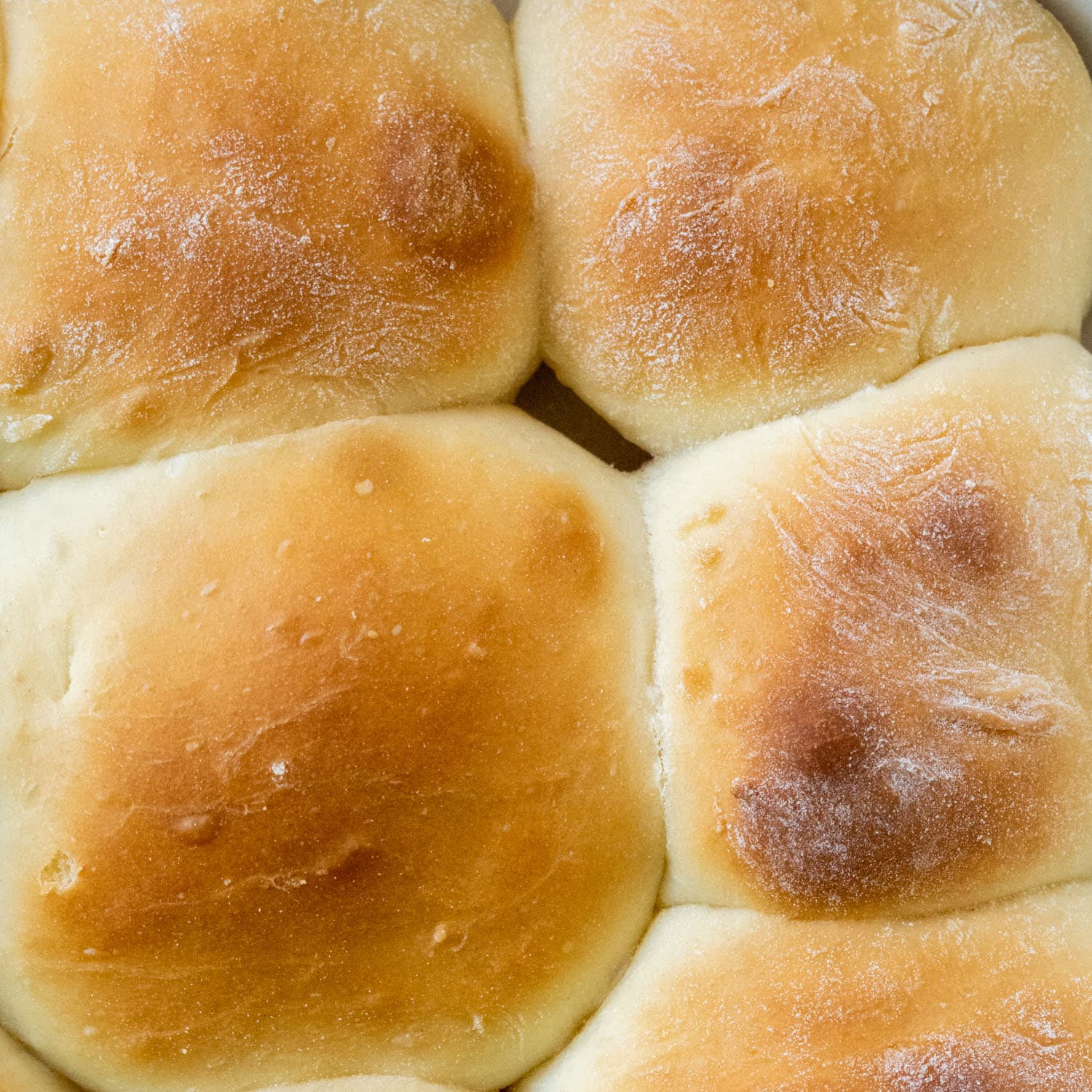 Fluffy Bread Machine Rolls - Brooklyn Farm Girl