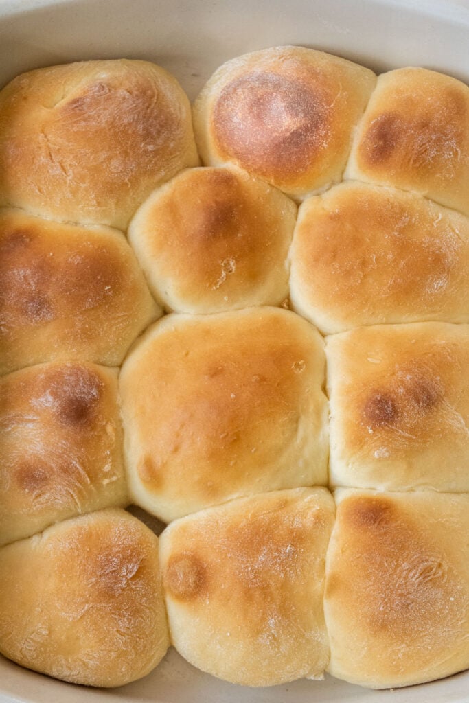 closeup of baked rolls.
